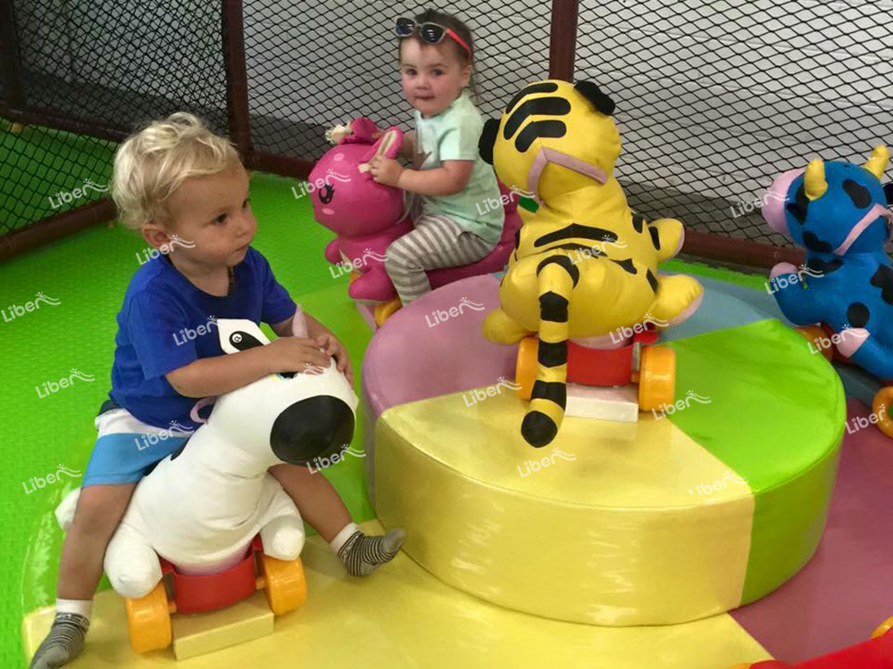 Children Indoor Playground Equipment